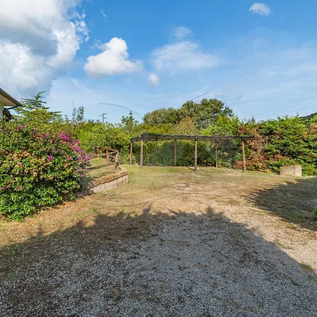 Apartman Villino La Cicala - Goelba Procchio