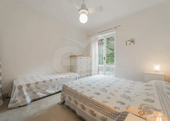 Villino La Cicala - Goelba * 프로키오